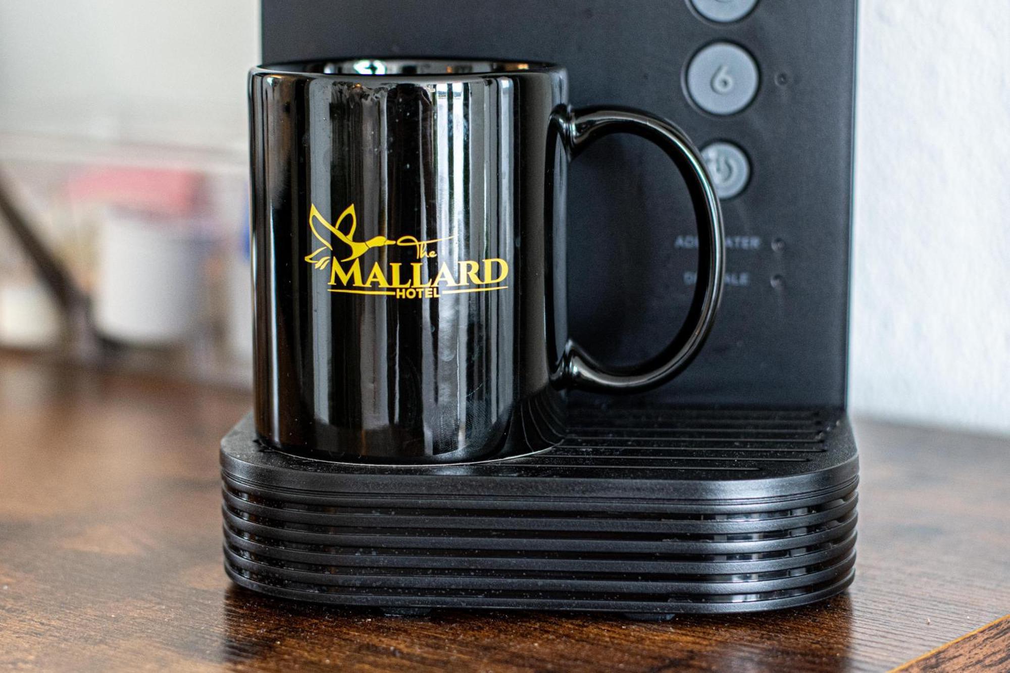 The Mallard Hotel & Suites Copperhill エクステリア 写真